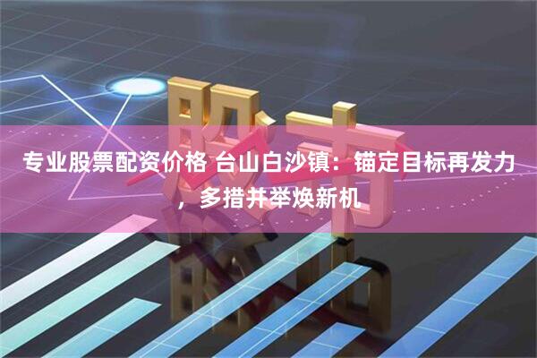 专业股票配资价格 台山白沙镇：锚定目标再发力，多措并举焕新机