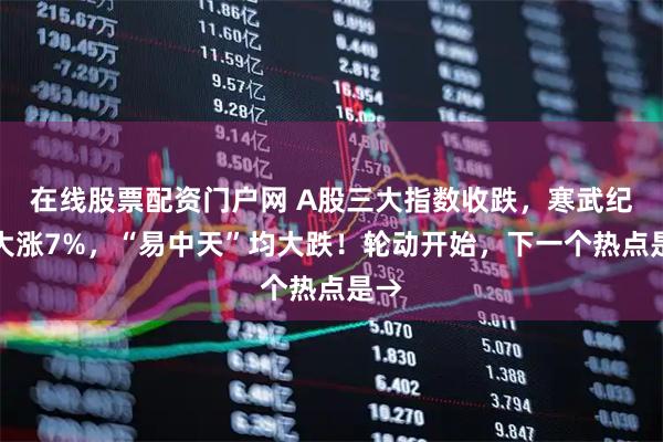 在线股票配资门户网 A股三大指数收跌，寒武纪又大涨7%，“易中天”均大跌！轮动开始，下一个热点是→